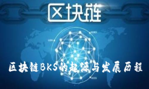 区块链BKS的起源与发展历程