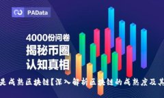 什么是成熟区块链？深入