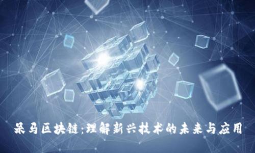 呆马区块链:理解新兴技术的未来与应用