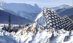 区块链的分化预测：未来