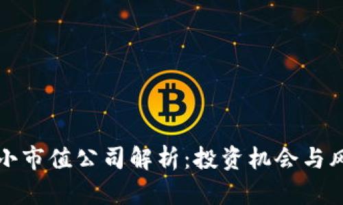 区块链小市值公司解析:投资机会与风险并存