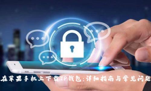 如何在苹果手机上下载TP钱包:详细指南与常见问题解答