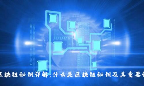 区块链秘钥详解:什么是区块链秘钥及其重要性