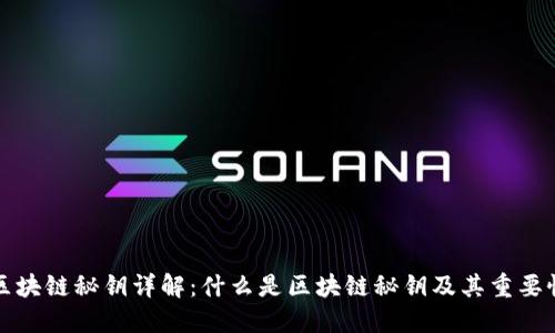 区块链秘钥详解:什么是区块链秘钥及其重要性