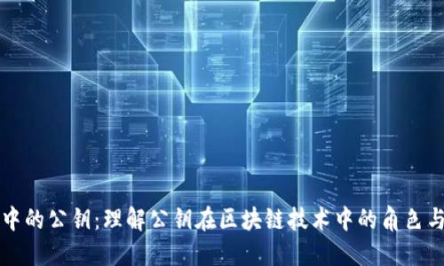 区块链中的公钥:理解公钥在区块链技术中的角色与重要性
