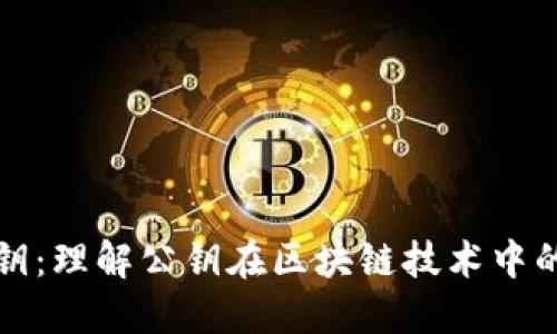 区块链中的公钥:理解公钥在区块链技术中的角色与重要性