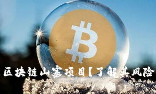 什么是区块链山寨项目?了解其风险与机遇