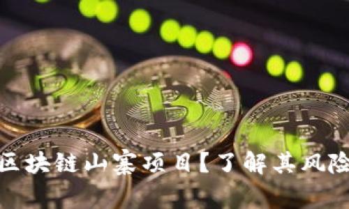 什么是区块链山寨项目?了解其风险与机遇