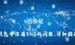 如何解决TP钱包中没有BN