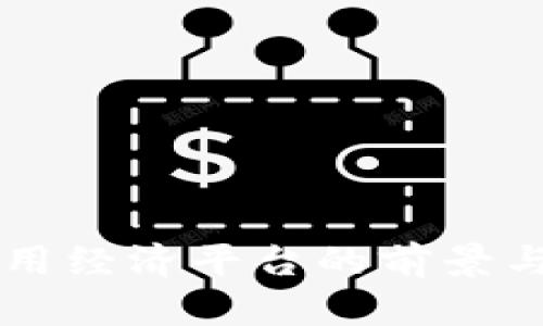 区块链应用经济平台的前景与挑战解析