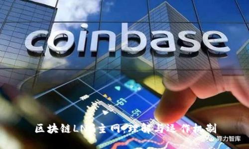 区块链LNG主网：理解与运作机制