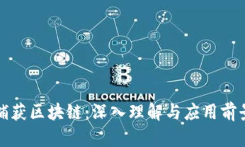 捕获区块链：深入理解与应用前景