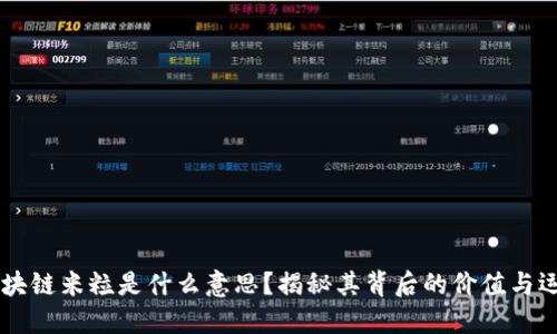 区块链米粒是什么意思？揭秘其背后的价值与运用