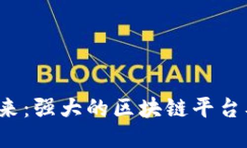 思考

优质 迈向未来：强大的区块链平台及其发展趋势