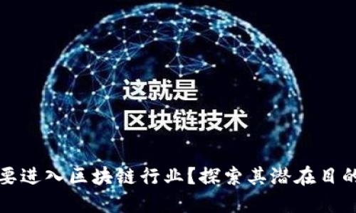 为什么要进入区块链行业？探索其潜在目的与价值