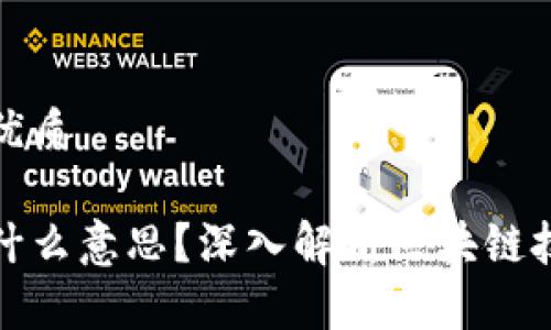 思考一个且的优质

区块链梯子是什么意思？深入解析区块链技术的核心概念