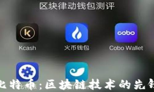 
比特币：区块链技术的先锋