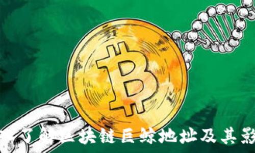     
深入了解区块链巨鲸地址及其影响