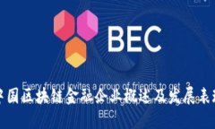 中国区块链金融企业概述