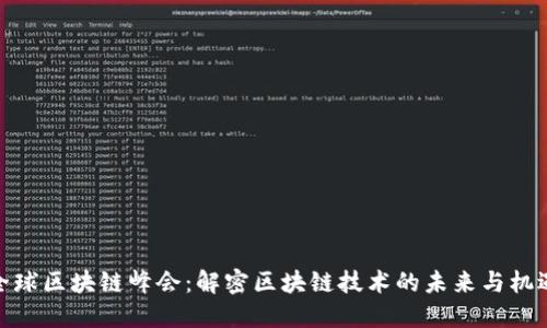 全球区块链峰会：解密区块链技术的未来与机遇