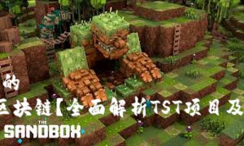思考一个且的  
TST是什么区块链？全面解析TST项目及其应用前景