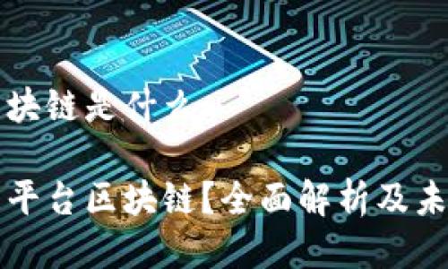 平台区块链是什么

什么是平台区块链？全面解析及未来展望