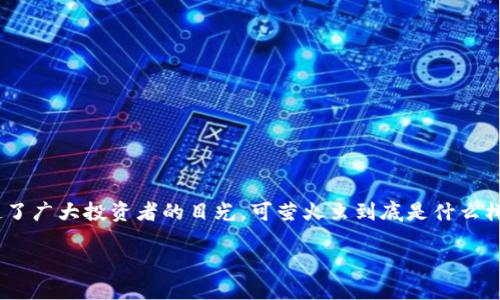 萤火虫是什么？——全面了解萤火虫区块链币种

近年来，区块链技术的快速发展，让人们开始关注各种各样的数字货币。在这其中，有一种被称为“萤火虫”的币种逐渐引起了广大投资者的目光。可萤火虫到底是什么样的币种，它的特点、用途和潜力又有哪些呢？本文将为您深度解析这项资产的方方面面，为您的投资决策提供一定的参考。

萤火虫区块链币种详解：潜力巨大的数字资产