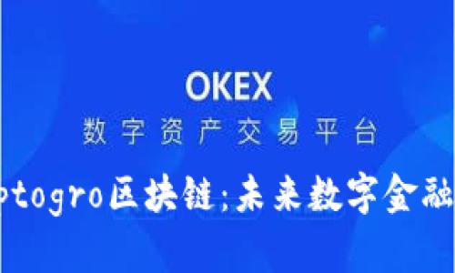 深入了解Cryptogro区块链：未来数字金融的潜在革新者