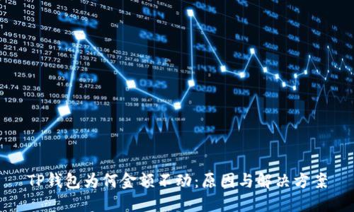 TP钱包为何金额不动：原因与解决方案