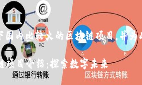 好的,让我们来深入探讨一下国内比较火的区块链项目,并为此设计一个合适的和关键词。
2023年最热门的国内区块链项目介绍:探索数字未来
