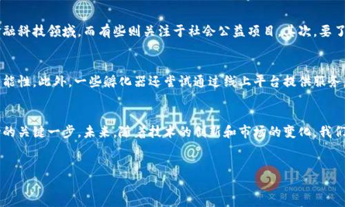 区块链孵化器是什么？

在数字货币和区块链技术飞速发展的时代，越来越多的创业者、投资者和技术爱好者开始关注这一领域。而“区块链孵化器”这个概念，正逐渐成为其中的重要组成部分。那么，什么是区块链孵化器？它又是如何推动区块链项目成长的呢？下面，我们将逐步探索这一主题。

区块链孵化器的定义
简单来说，区块链孵化器是一种专注于支持区块链技术相关初创企业的机构。它们提供诸如资金、资源、指导、技术支持等多方面的服务，帮助创业者将创意转变为成功的商业模式。这种孵化器不仅仅是在资本层面给予支持，更是通过建立强大的人际网络和提供专业知识，使得初创企业在发展的早期阶段能够更快地找到方向，规避潜在的风险。

为什么需要区块链孵化器？
随着区块链技术的迅猛发展，市场上涌现了大量的区块链项目。然而，不是所有的项目都能顺利发展，很多初创企业面临着技术难题、市场定位模糊等困扰。在这种情况下，区块链孵化器应运而生。它们通过提供系统的指导和支持，极大地提高了项目成功的概率。

区块链孵化器的核心功能
区块链孵化器的功能多种多样，以下是一些关键的服务和支持：

ul
  li资金支持：很多区块链孵化器会直接投资初创企业，或者帮助他们获取来自外部投资者的资金，使其有足够的资本进行产品开发和市场推广。/li
  li技术指导：技术是区块链项目的核心，孵化器通常会提供技术顾问，帮助团队解决技术难题，产品设计。/li
  li市场建议：孵化器的专业团队会为初创企业提供市场调研、推广策略等支持，帮助他们找到目标用户群体。/li
  li社交网络：孵化器为创业者提供了一个交流的平台，可以与其他创业者、投资者和行业专家建立联系，获取价值信息。/li
/ul

成功案例分析
为了更好地说明区块链孵化器的重要性，不妨来看几个成功的案例。以以太坊为例，这个项目最初是在区块链孵化器支持下发展壮大的。在这些孵化器中，以太坊获得了初始投资、技术指导和人脉支持，最终在整个区块链生态系统中占据了重要地位。

选择合适的区块链孵化器
如果你是一个想要入驻孵化器的创业者，选择合适的孵化器非常重要。首先，你需要考虑孵化器的专业领域是否与你的项目相关。例如，有些孵化器专注于金融科技领域，而有些则关注于社会公益项目。其次，要了解孵化器提供的资源，比如是否有强大的技术支持团队、投资者网络等。最后，考虑孵化器的声誉和成功案例，毕竟，有声望的孵化器通常会更受投资者注意。

区块链孵化器的发展趋势
随着区块链技术的不断成熟，孵化器的模式也在不断演变。例如，现在很多孵化器逐渐开始侧重于人工智能、物联网等新兴领域的结合，以探索更多的商业可能性。此外，一些孵化器还尝试通过线上平台提供服务，使得全球范围内的创业者都能获得支持。

总结
区块链孵化器正如一颗种子，通过专业的指导、资金支持和资源整合，帮助初创企业在行业中茁壮成长。对于创业者来说，选择合适的孵化器是推动项目成功的关键一步。未来，随着技术的创新和市场的变化，我们有理由相信区块链孵化器将发挥越来越重要的作用。

区块链, 孵化器, 创业, 技术支持/guanjianci
深度解读：区块链孵化器及其对创业的推动作用