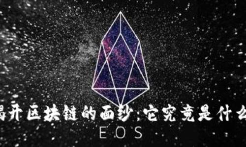 揭开区块链的面纱：它究竟是什么？