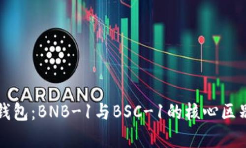 深入解析TP钱包：BNB-1与BSC-1的核心区别与应用场景