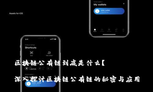 区块链公有链到底是什么？

深入探讨区块链公有链的秘密与应用