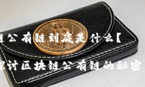 区块链公有链到底是什么？

深入探讨区块链公有链的秘密与应用