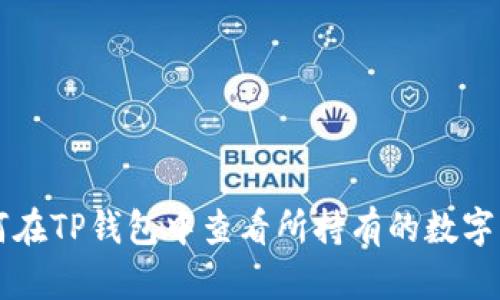 如何在TP钱包中查看所持有的数字货币