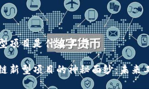 区块链新型项目是什么工作

揭开区块链新型项目的神秘面纱：未来工作的脉动