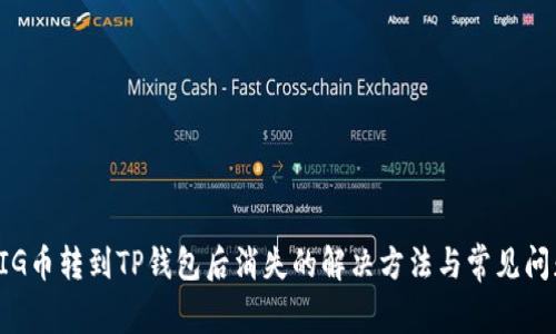 PIG币转到TP钱包后消失的解决方法与常见问题