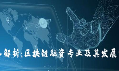 深入解析：区块链融资专业及其发展方向
