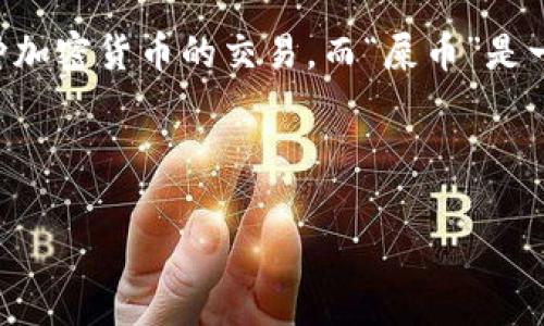 在讨论“TP钱包”和“屎币”的问题之前，我们需要先了解这两者是什么。TP钱包，作为一种数字货币钱包，能够存储、管理以及进行各种加密货币的交易。而“屎币”是一种非正式的数字货币，它通常是由某些用户在社交网络中创造出来的，以一种玩笑或者讽刺的方式表达对某些事件或现象的不满。

接下来，我们将详细探讨TP钱包是否可以存放屎币，相关的技术细节，以及使用这类非主流数字货币时需要注意的问题。

TP钱包是否支持屎币存储？