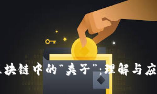 区块链中的“夹子”：理解与应用