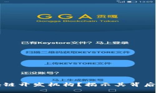 什么是区块链开发机构？揭示其背后的行业魅力