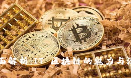 全面解析：IT 区块链的魅力与潜力