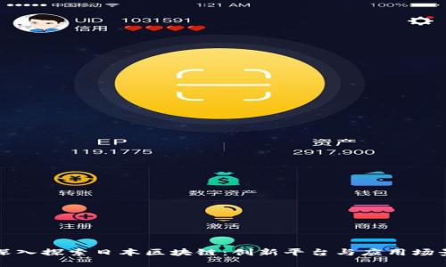 深入探索日本区块链：创新平台与应用场景