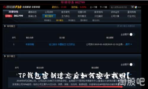 TP钱包密钥遗忘后如何安全找回？