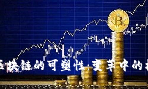 深入探讨区块链的可塑性：变革中的机会与挑战