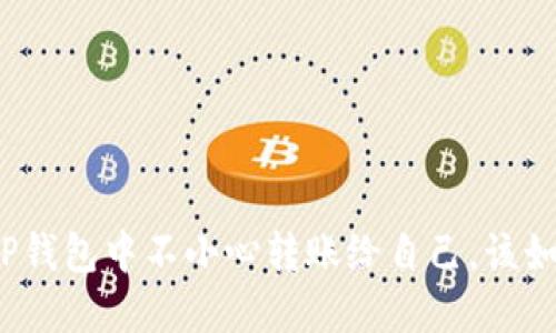 如果在TP钱包中不小心转账给自己，该如何处理？