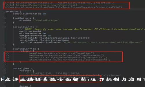 国外点评区块链系统全面解析：运作机制与应用前景