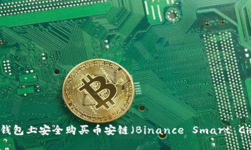 如何在TP钱包上安全购买币安链（Binance Smart Chain）币种