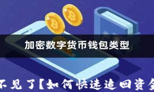 
TP钱包转账不见了？如何快速追回资金的全面指南